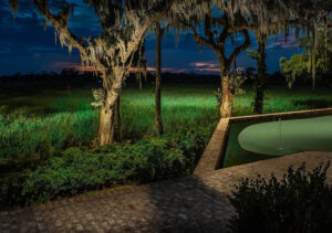 exterior lighting around trees and walkway