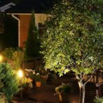 How to Highlight Your Home’s Best Features with Landscape Lighting