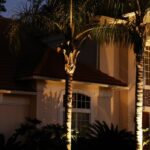 Landscape Lighting in Tampa Bay: Transforming Your Outdoor Spaces