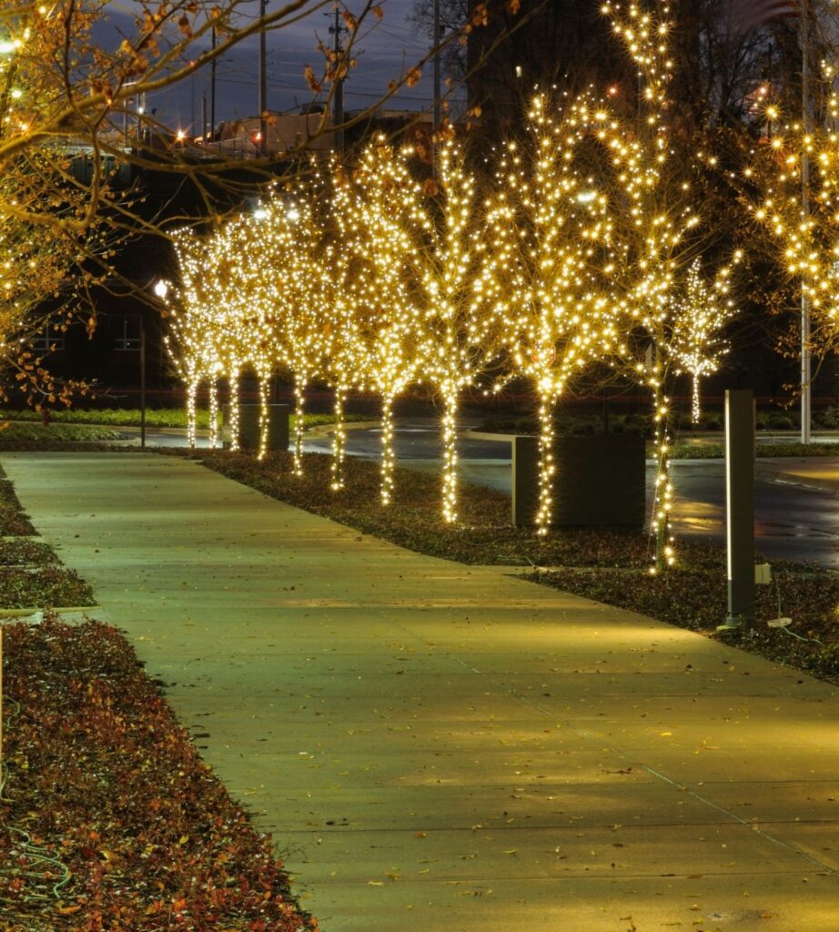 Holiday Lighting in West Tampa